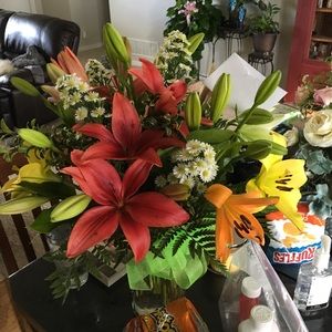 Meet your Posher, Caitlin